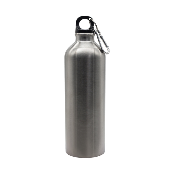R08109.01 - Bidon stalowy Camino 800 ml, srebrny