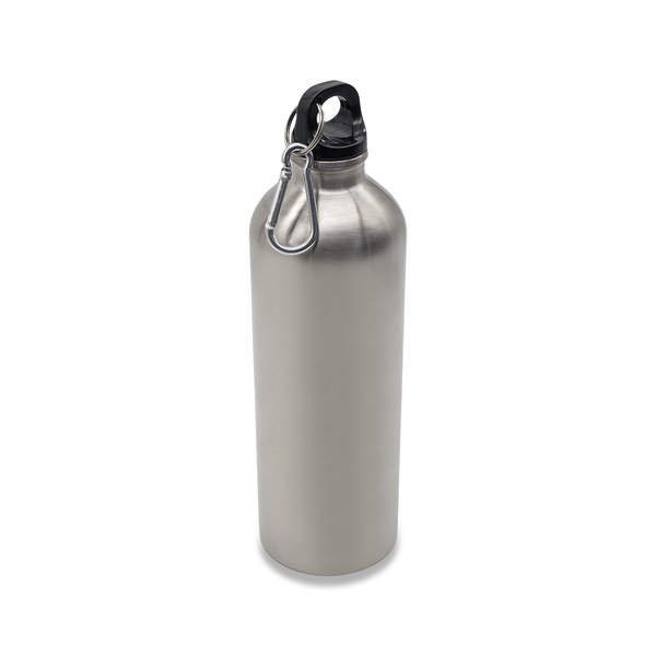 R08109.01 - Bidon stalowy Camino 800 ml, srebrny